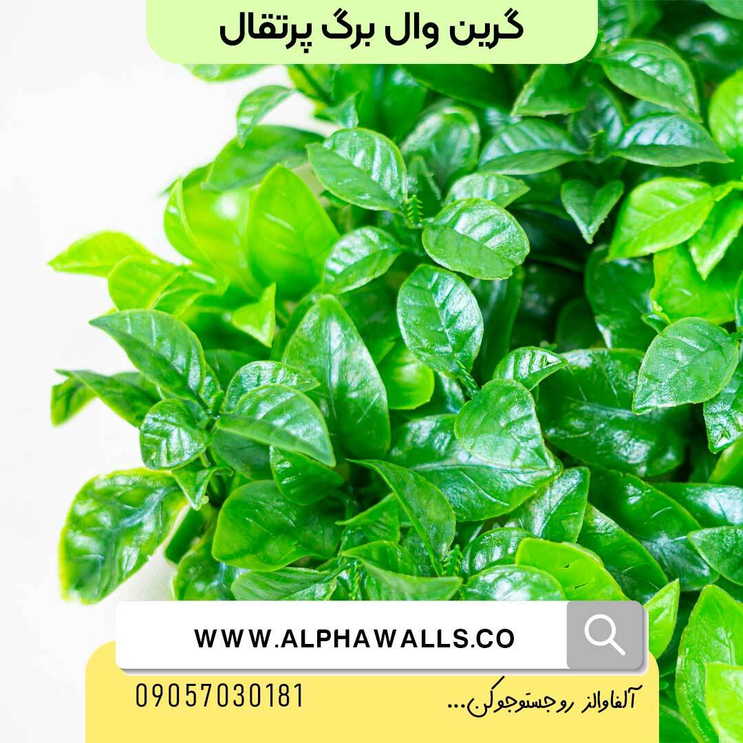  گرین وال طرح برگ پرتغال 