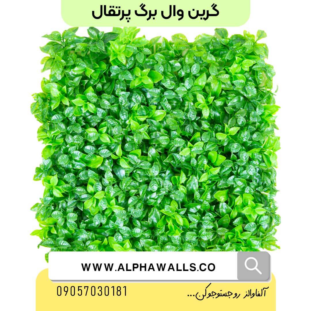  گرین وال طرح برگ پرتغال 