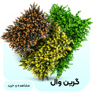 خرید انواع گیرین وال