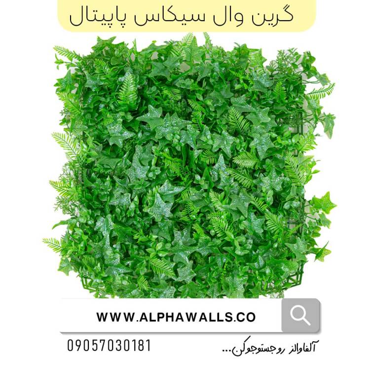 گرین وال طرح سیکاس پاپیتال 