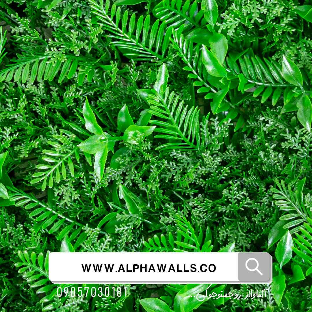  گرین وال طرح سیکاس پاپیتال 