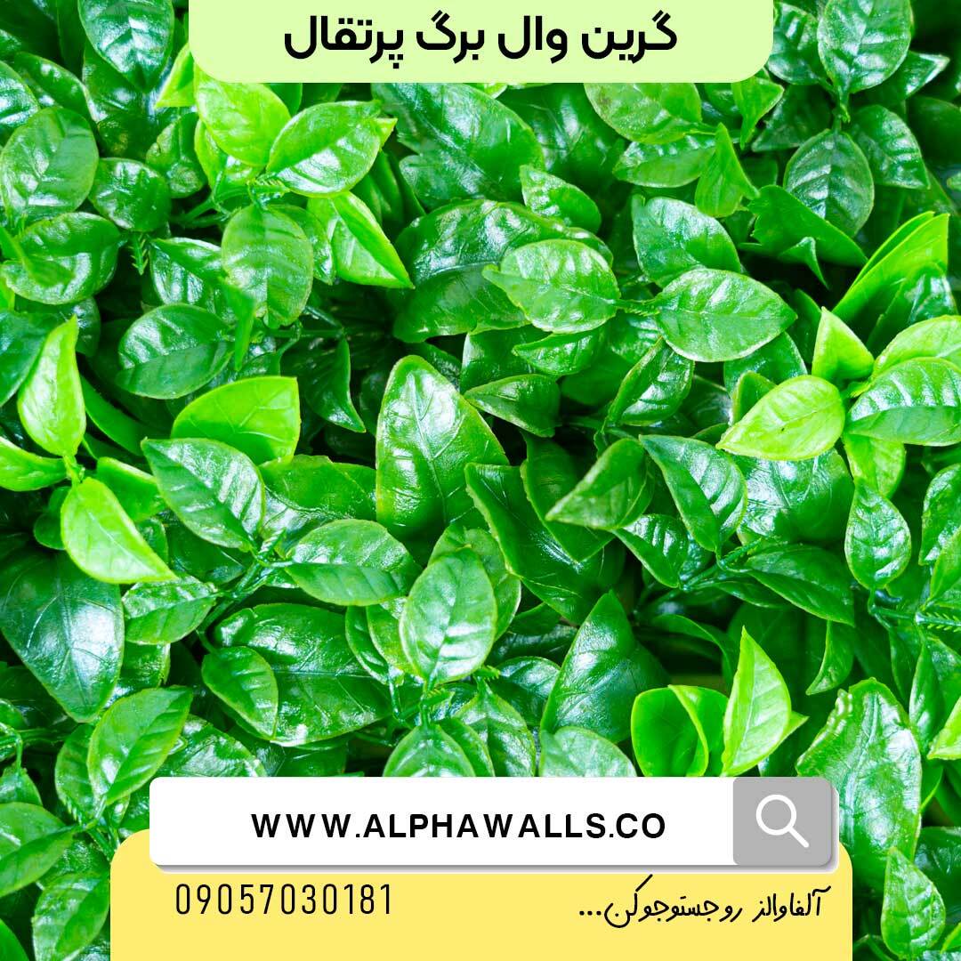  گرین وال طرح برگ پرتغال 
