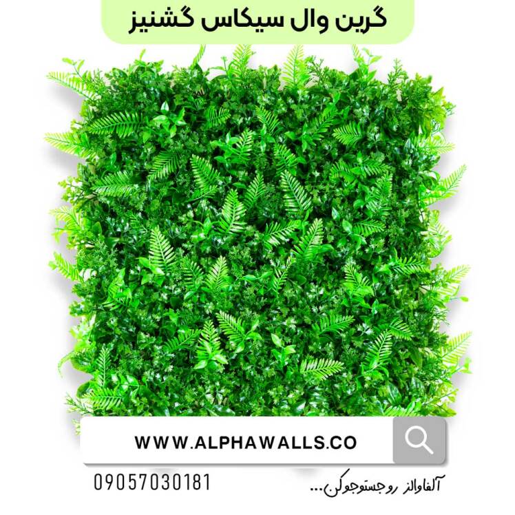 گرین وال گشنیز و سیکاس 