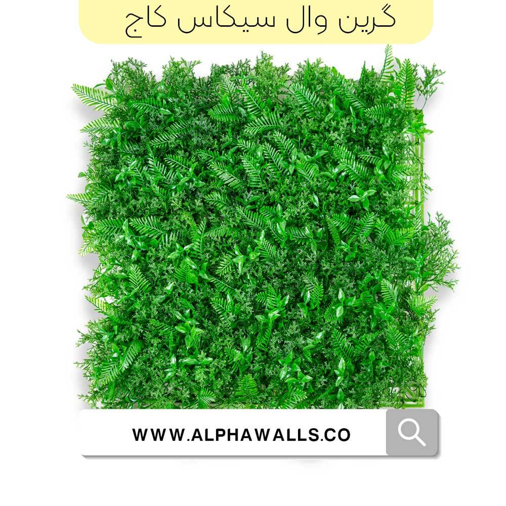 گرین وال طرح سیکاس پاپیتال 