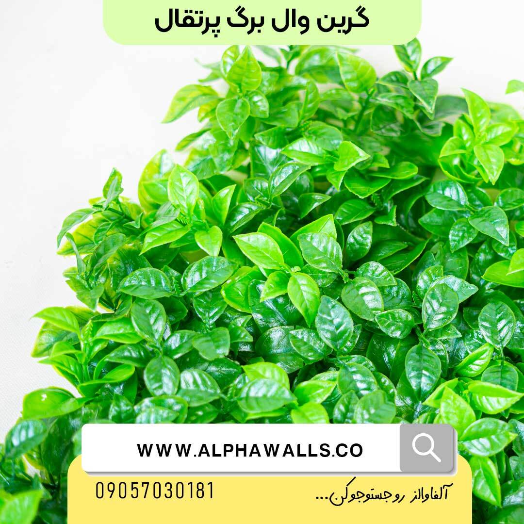  گرین وال طرح برگ پرتغال 