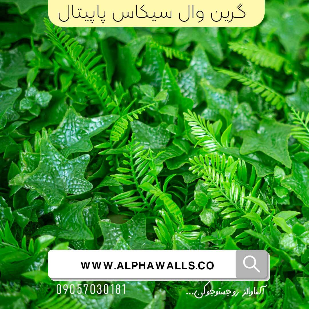  گرین وال طرح سیکاس پاپیتال 