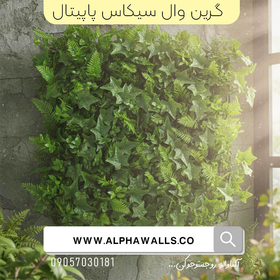  گرین وال طرح سیکاس پاپیتال 